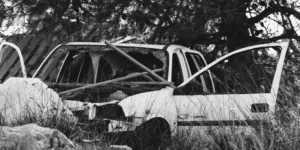 수원시민안전보험